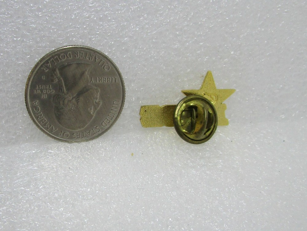 Pride Star Pin