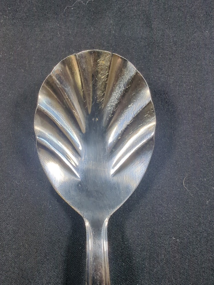 Stainless Silver Flatware International Sugar Spoon Shell Ripple Design Unique