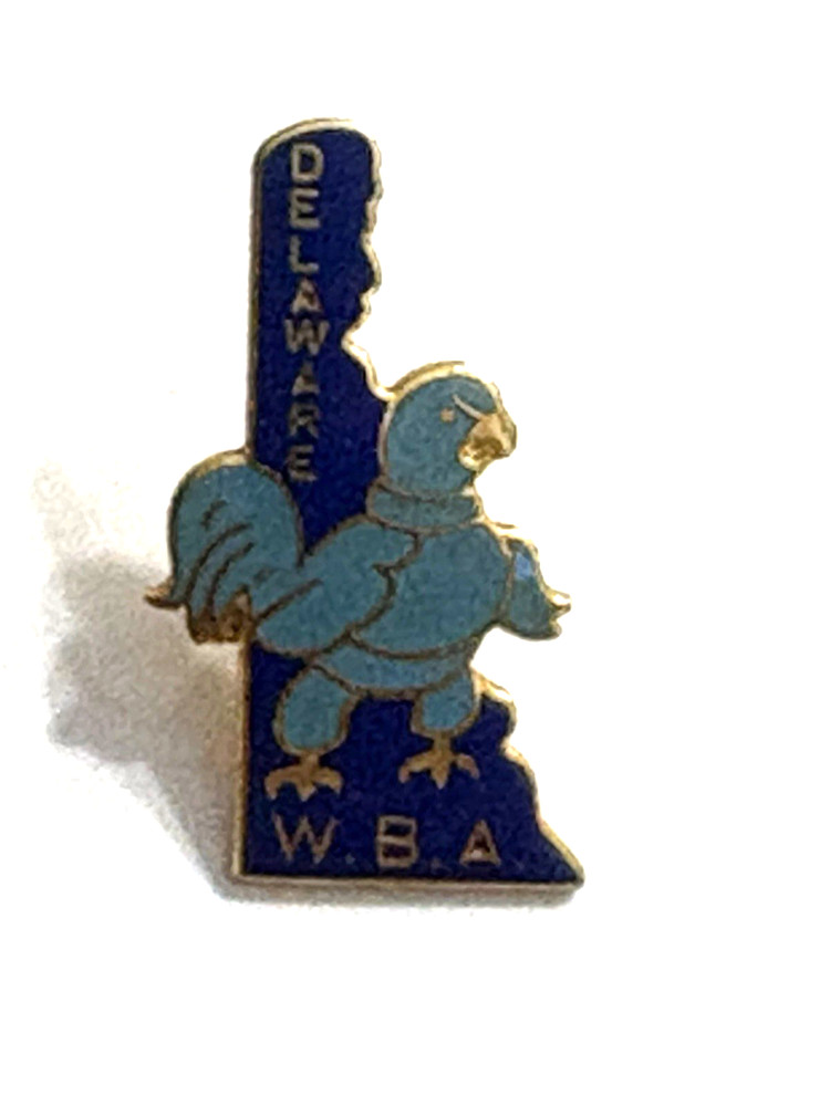 Delaware WBA Bowling Lapel Pin