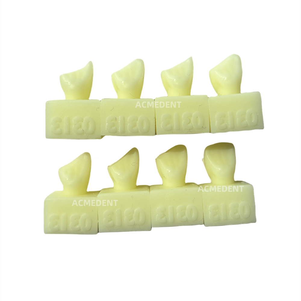 Dental Caries Decay Teeth Model Tooth Simulate Class Ⅱ Resin Restore Template