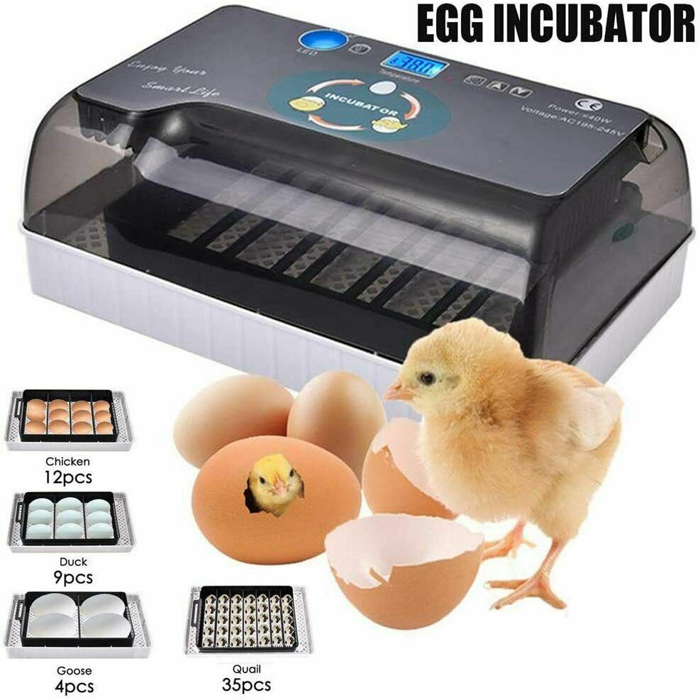 12 Egg Incubator for Hatching Eggs w/Automatic Egg Turning Temperature Control