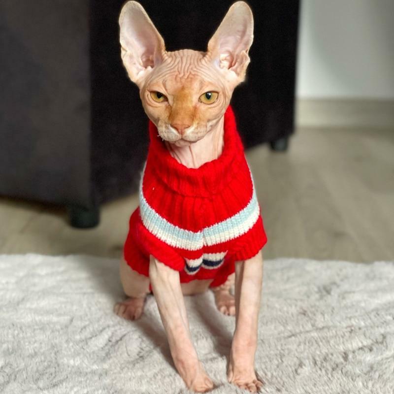 Winter Animal Sweater