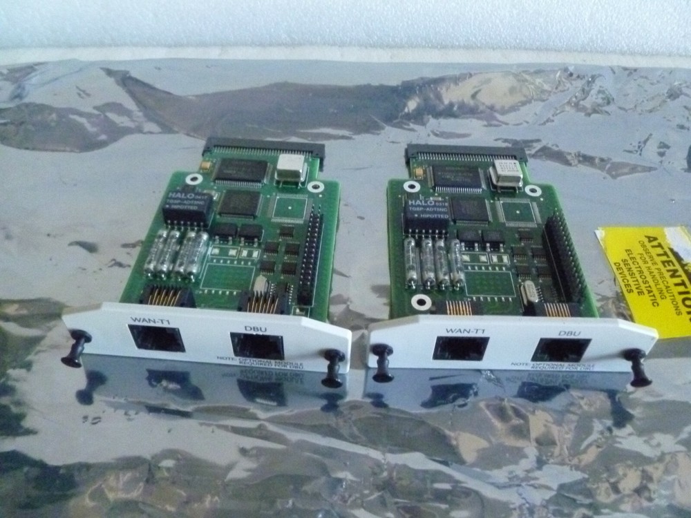 LOT OF 2 ADTRAN 1200862L1 Network Interface Module Card