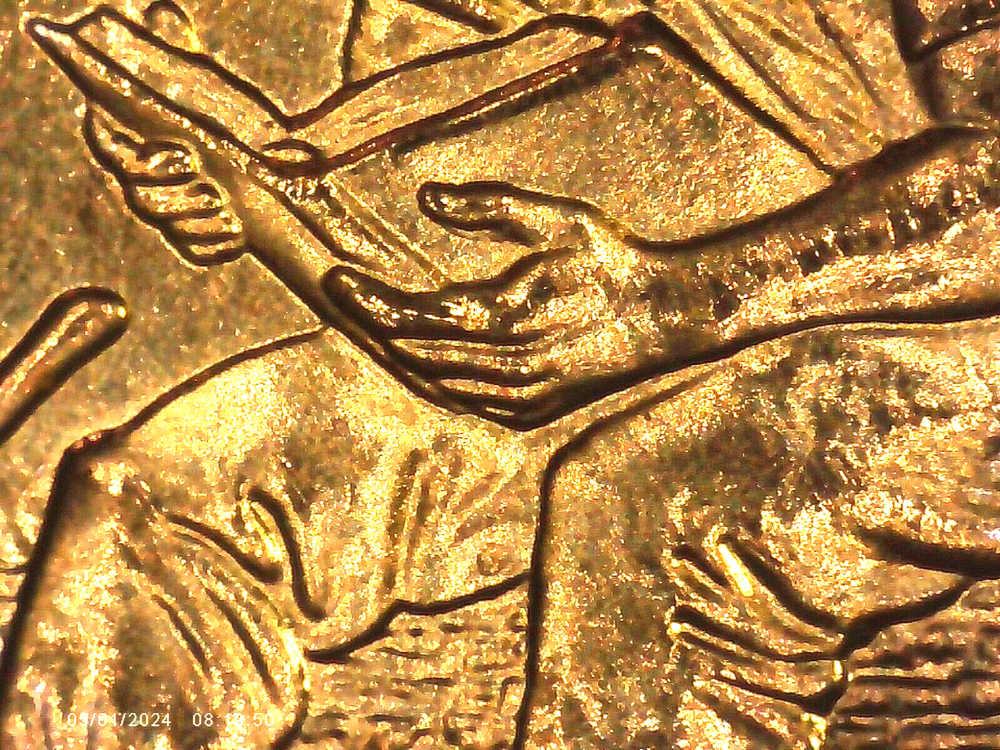 2009 P BU FY DOUBLED DIE REVERSE ERROR WDDR-008