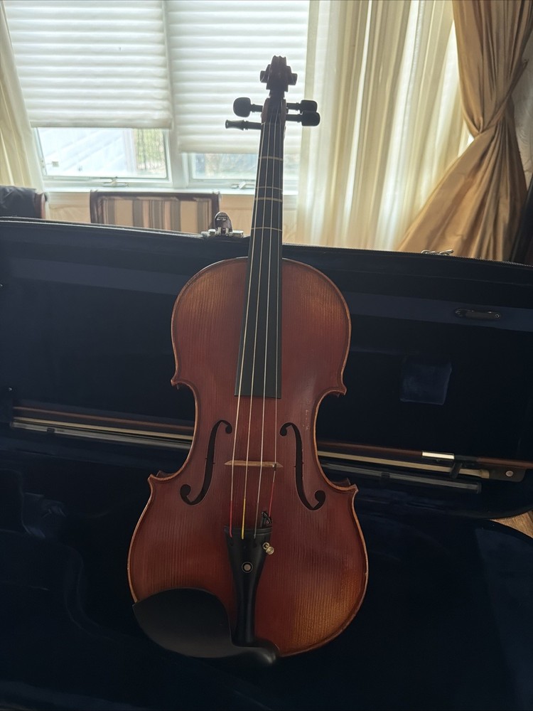 Viola Carlo Robelli