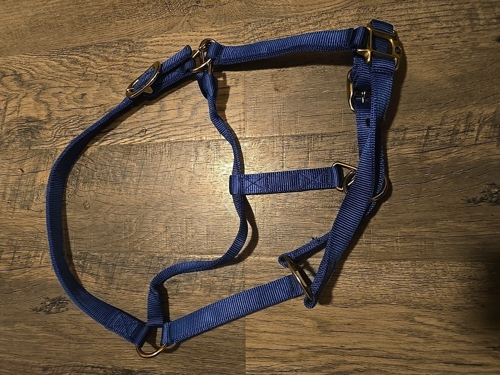 Horse Halter