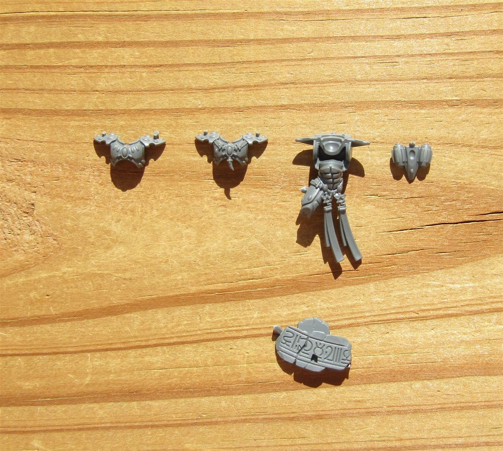 40K Aeldari Fire Dragons Exarch Torso & Tactical Rock Bits