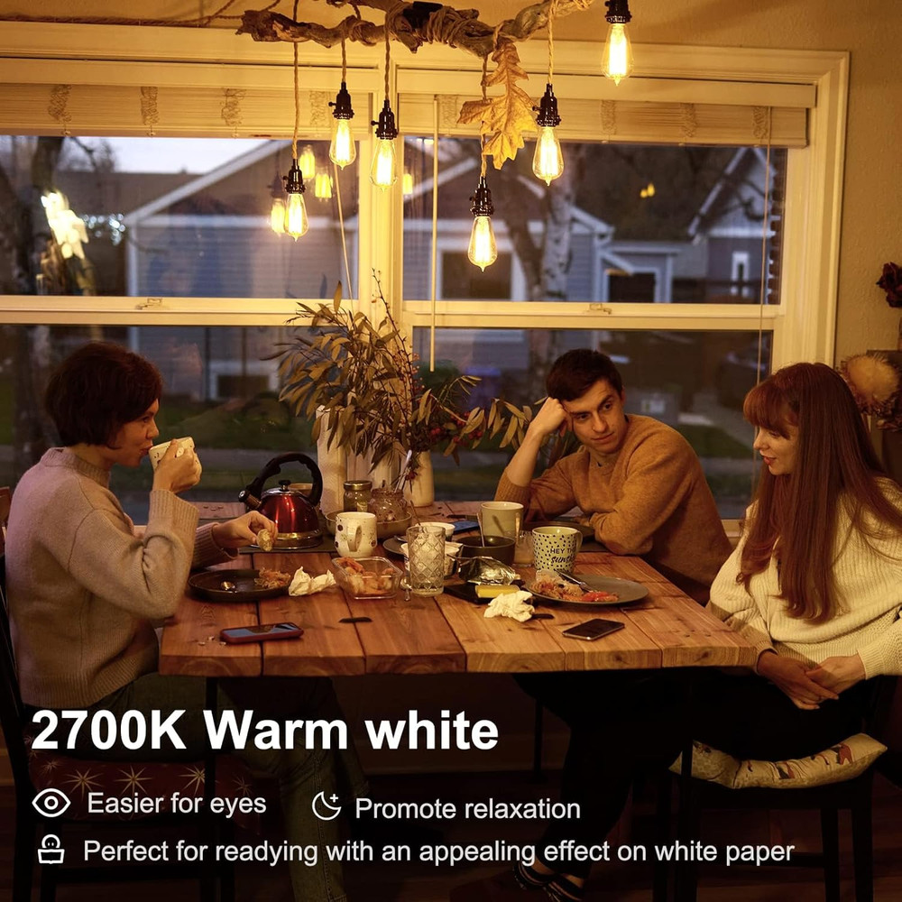 Edison Light Bulbs 60W Equivalent, Dimmable Vintage LED Light Bulbs, E26 Medium