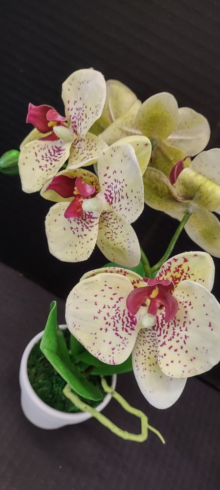 Artificial mini Phalaenopsis orchid