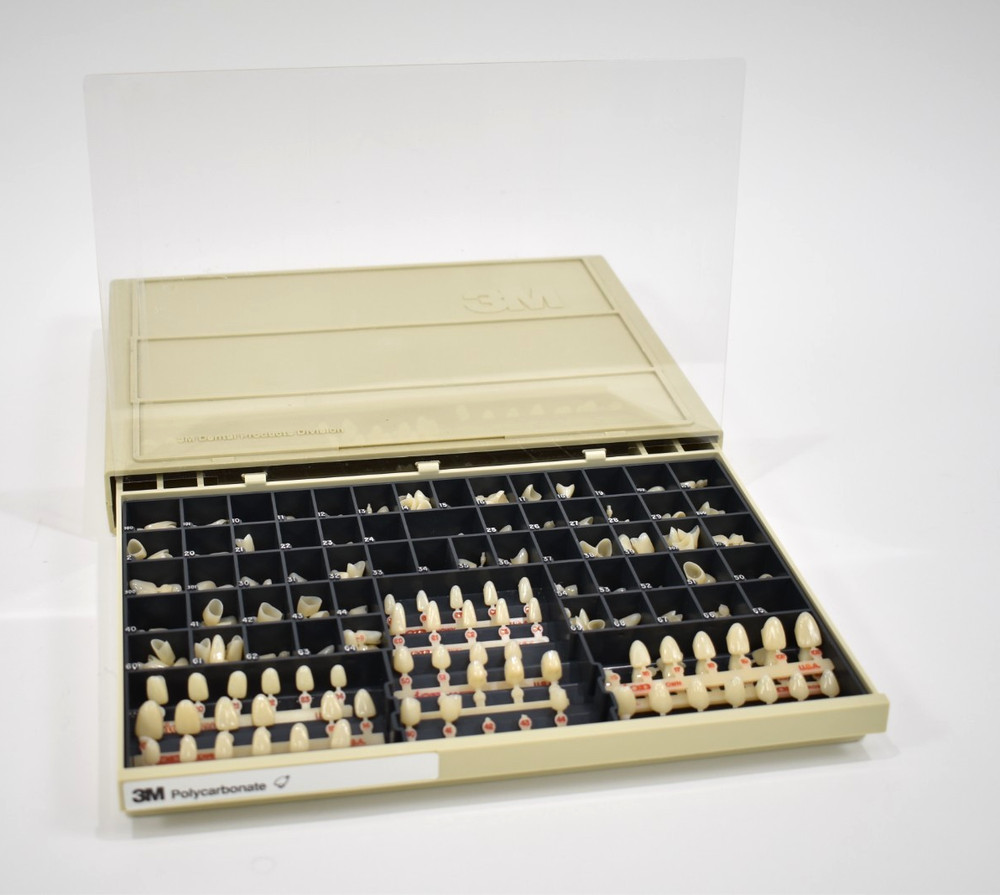 Dental Crown Set / 3M Polycarbonate Organizer Box with Various Sized Crowns