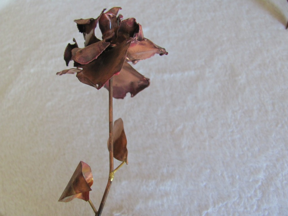 Long Stem Copper Rose(s) Up to 7 Available