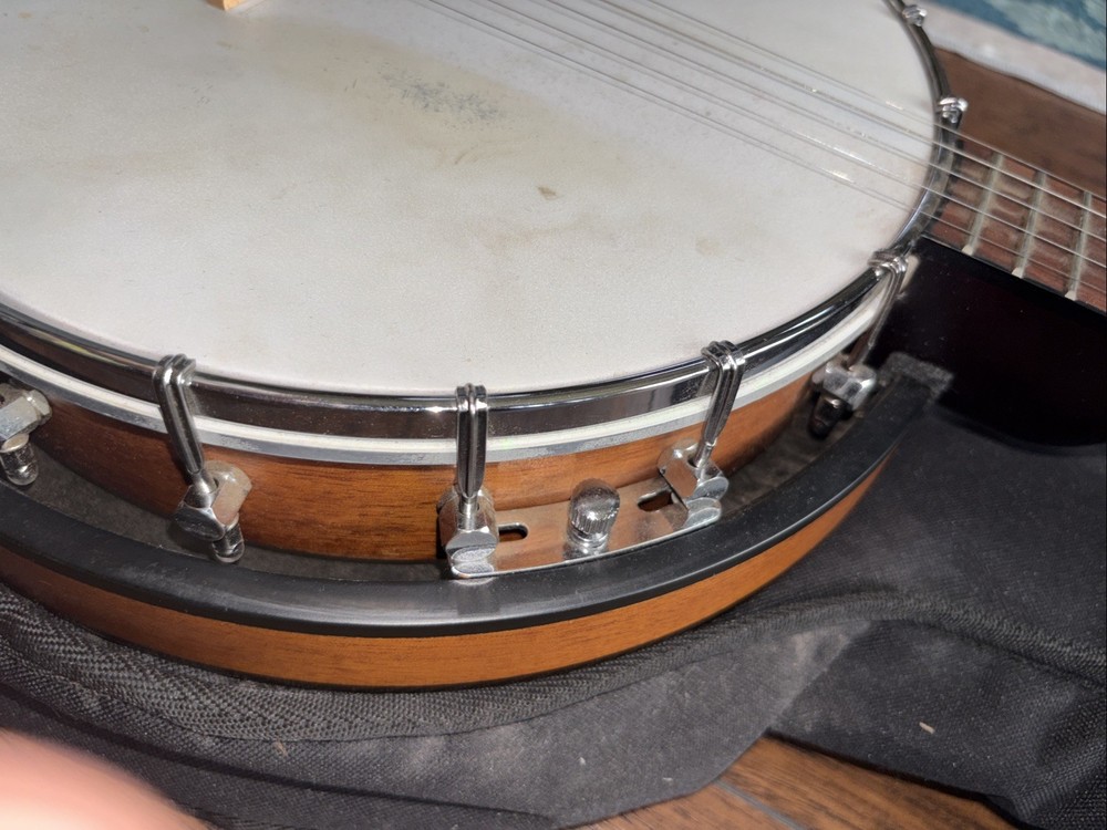 Fender 5 String Banjo & Bag Used