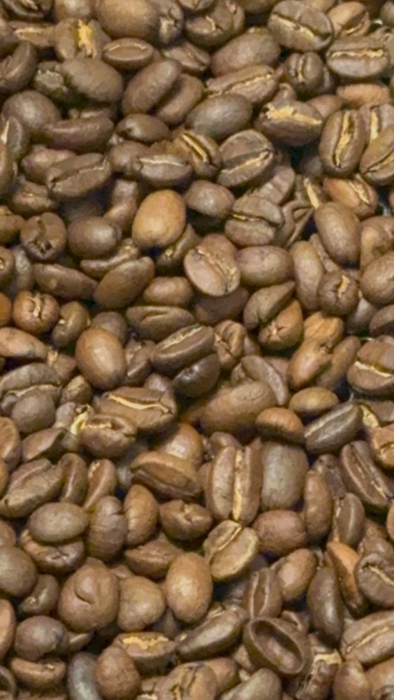 Honduras Single Origin Organically Grown Small Batch Roasted Coffee Beans