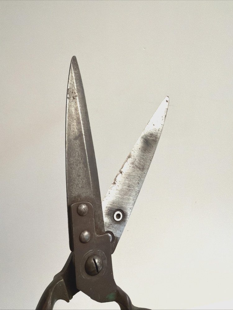 Garden / Grass Shears Vintage 12" Coil Spring Sharp! Nice Old Tool!