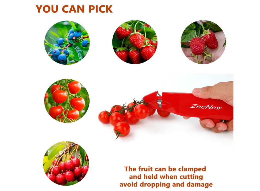 Small Fruit Scissors for Picking, Clamping,Holding Fruit after Cutting Sharp