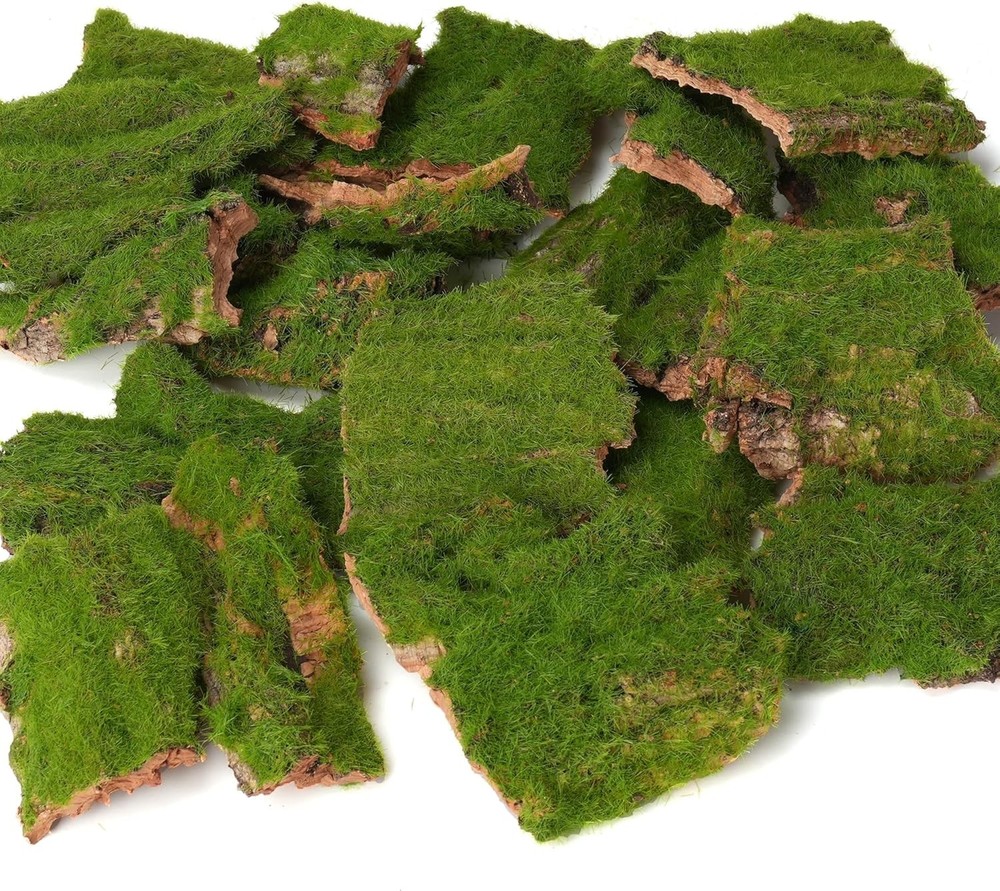 BYHER Assorted Artificial Moss Bark, Decorative Mossy Realistic Green - 100gr
