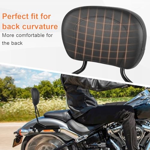 Rear Upright Passenger Backrest with Pad & Docking Hardware Kit Sissy Bar