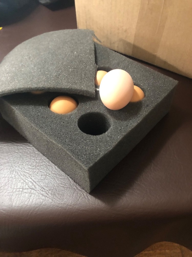 Buff Brahma Hatching Eggs (6) NPIP certified AI clean flock