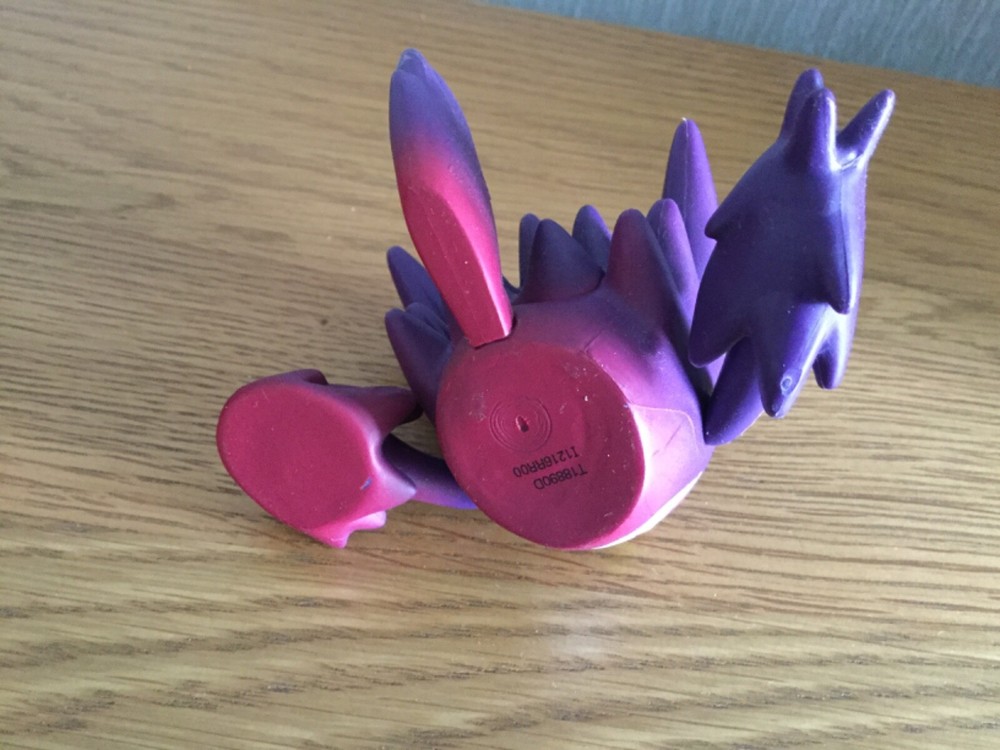 Pokemon Trainer Kit (Rare)