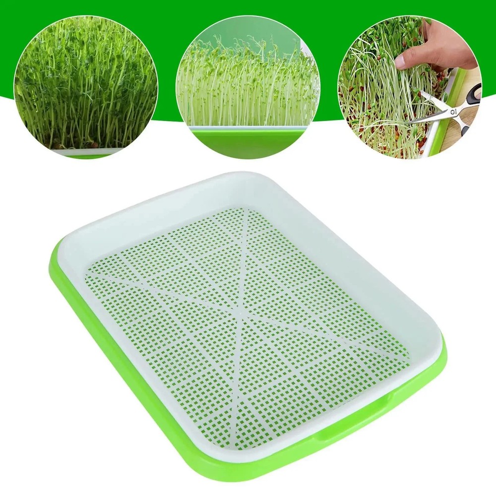 Hydroponic Microgreens Sprouter Tray – Ideal for Sprouting & Nursery Use
