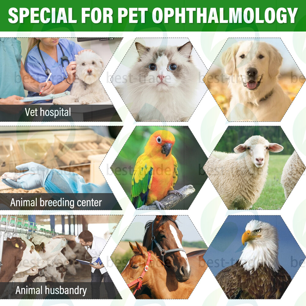 Handheld Slit Lamp LED Microscope Pet Ophthalmology Examination Lightweight