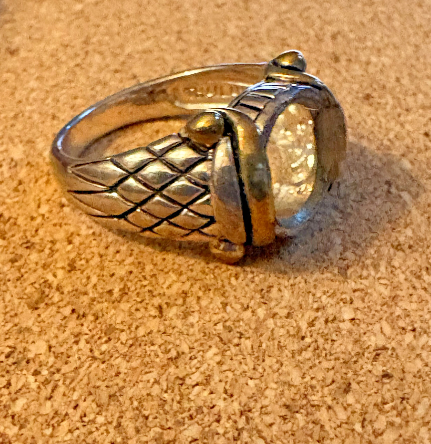 NF Sterling Silver 925 Gold Vermeil Ring BLANK Setting Python Design Shank SZ 6