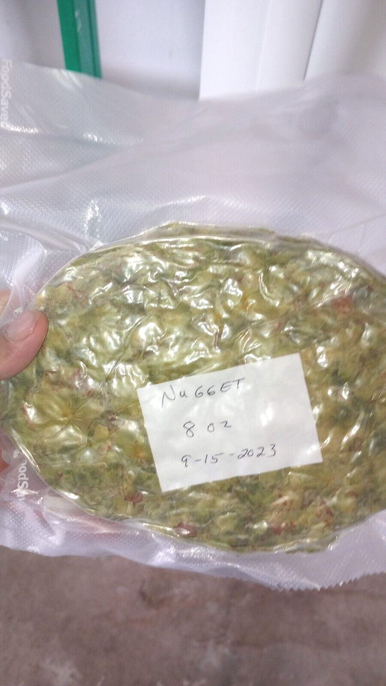 Organic Nugget Dried Whole Cone Hops Brewing / Tea 8 OZ