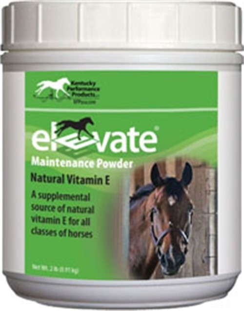 ELEVATE MAINTENANCE POWDER