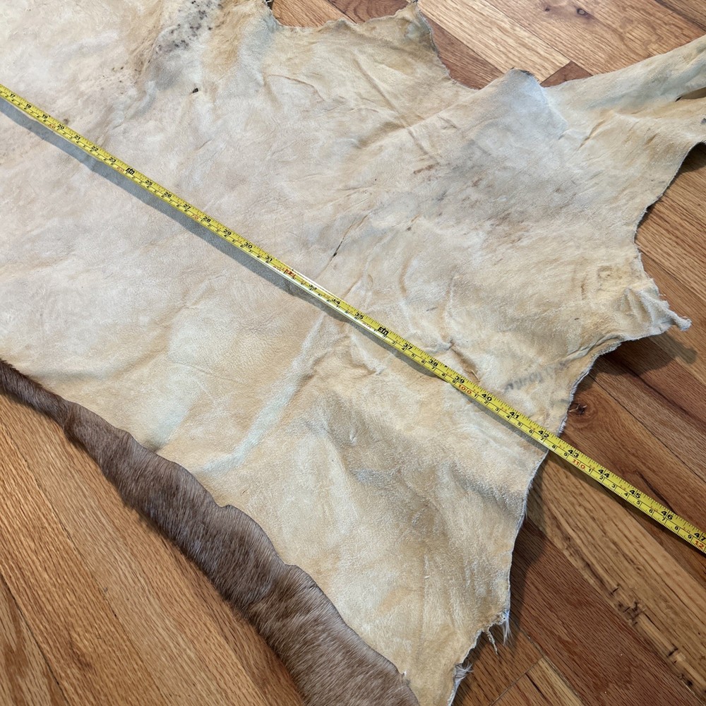 African Antelope Partial Hide (Back Half) – (Left Front) Tanned