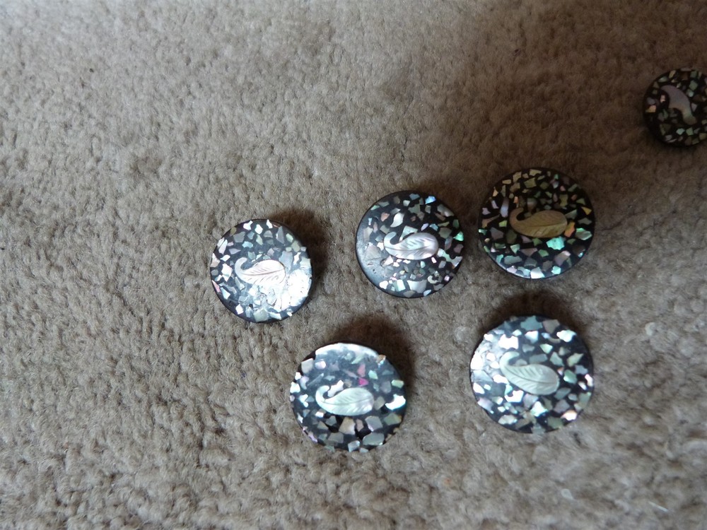 VTG matching composition abalone flake confetti leaf button lot diff sizes #101
