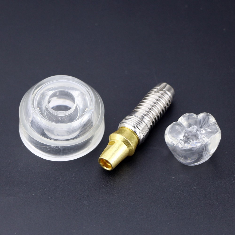 Dental Implant Model Demonstration Teeth Study Teach Model Clear M2020