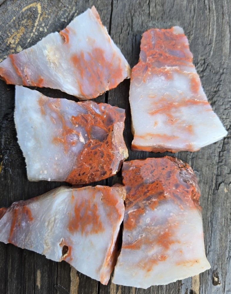 5 Red Velvet Moss Agate Slabs Lapidary Rough