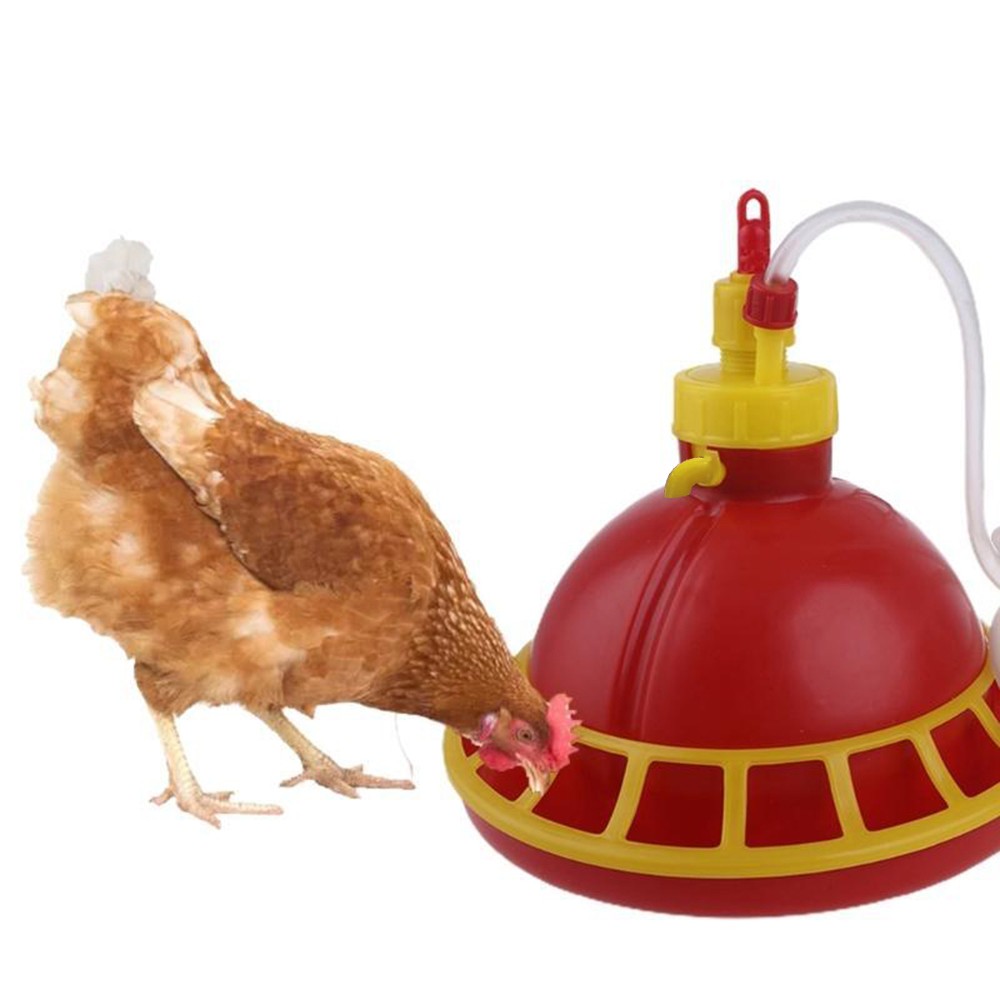 1-3Pcs Chicken Poultry Drinker Waterer Dispenser Chick Bird Automatic Drinker  ╏