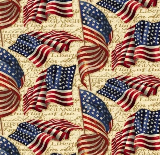 Spring Creative - Patriotic We Pledge Allegiance Quilting Fabric 🇺🇸🇺🇸