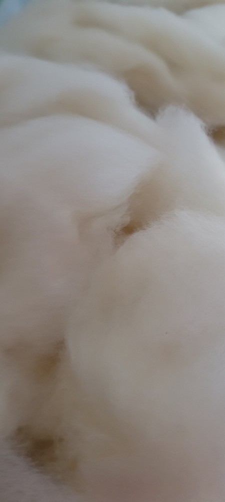 Romney wool roving (white) 8 oz