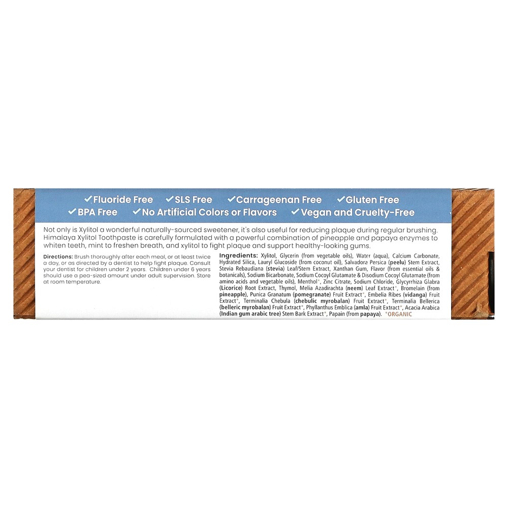 Xylitol Toothpaste, Mint, 4 oz (113 g)