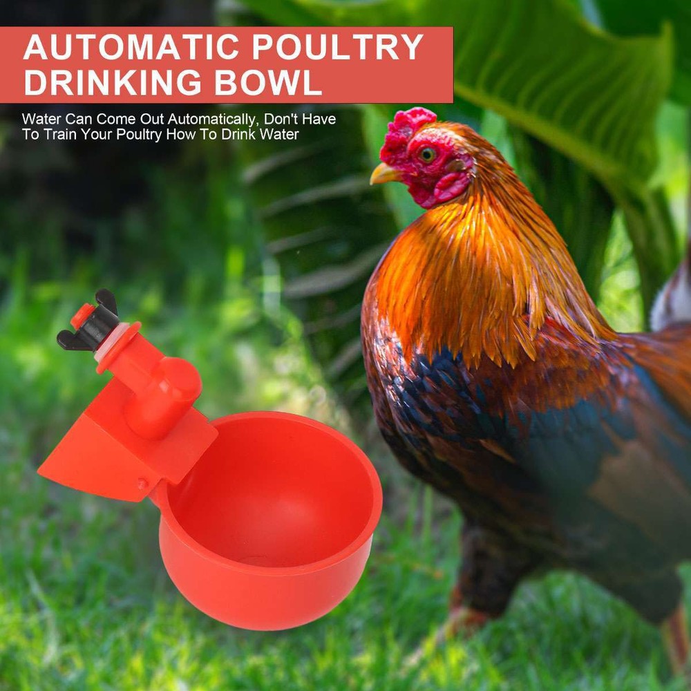 12Pcs Automatic Water Cups Poultry Drinker Waterer Chicken Duck Quail Drinking