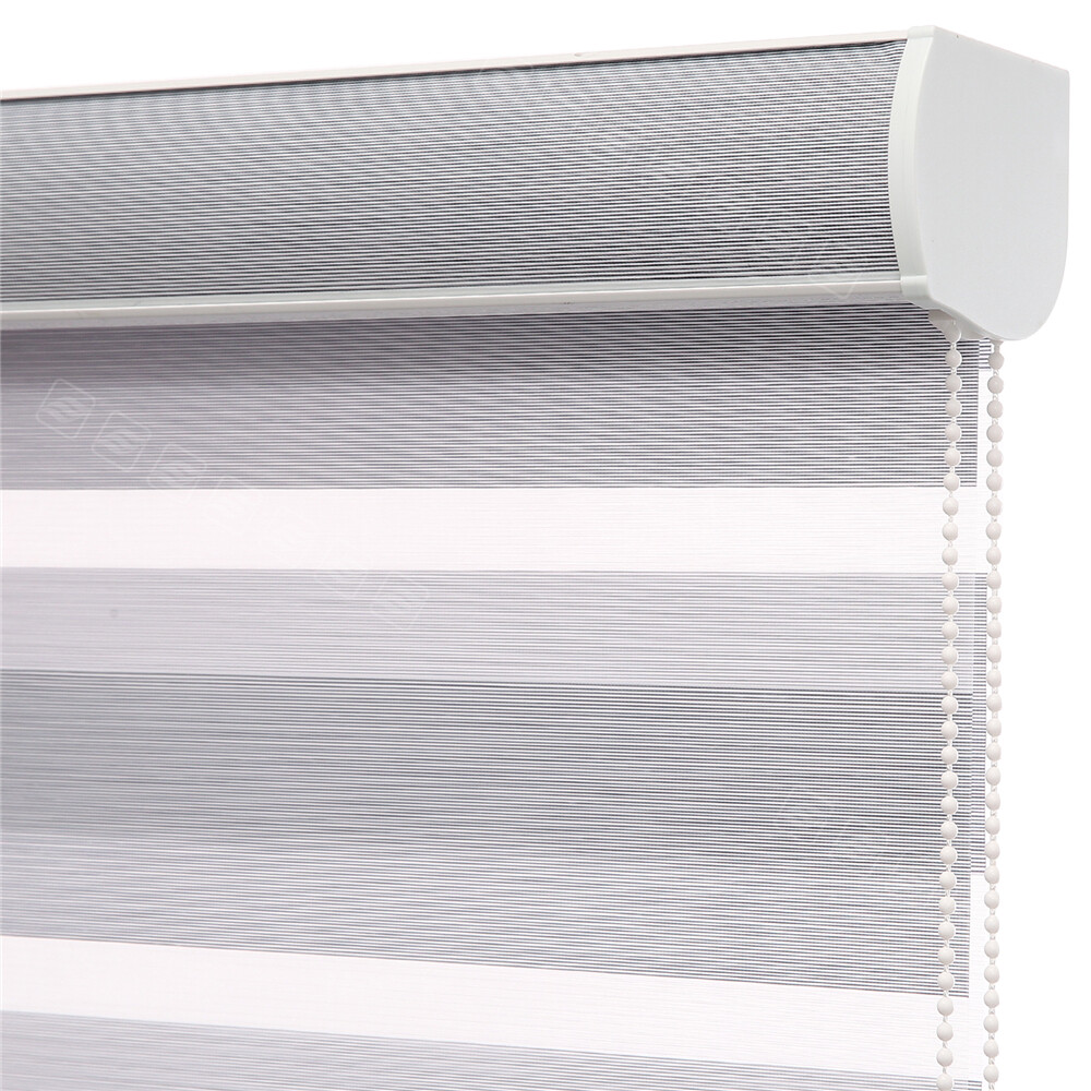 Changshade Custom Size Light Filtering Zebra Shades Dual Layer Roller Blinds