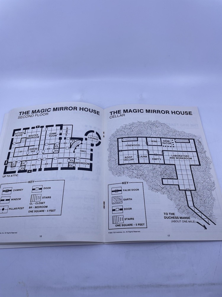 EX2 AD&D Module The Land Beyond the Magic Mirror Dungeons & Dragons TSR (1983)