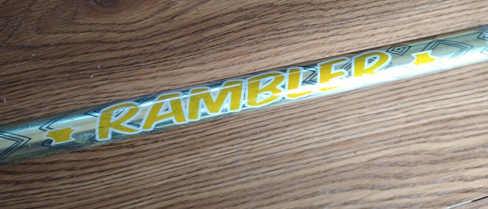 Mountainsmith Rambler Trekking Pole