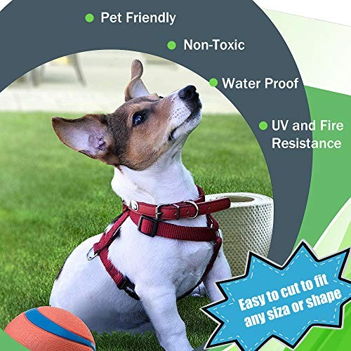 Artificial Grass Turf, 0.8" Pile Height Realistic 3'4" x 5' (Rectangular)