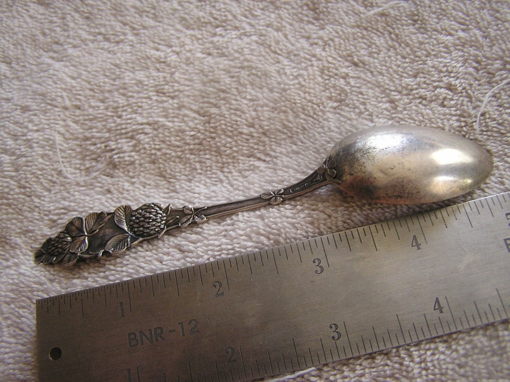 Sterling Silver Souvenir Spoon Raton NM