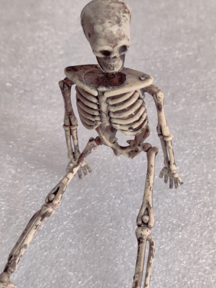 Halloween Skeleton Pair Props (Plastic)