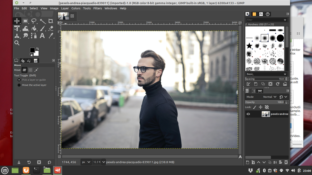 Professional Graphics Software Collection DVD 2023 USA Paint, Draw, PC & MAC