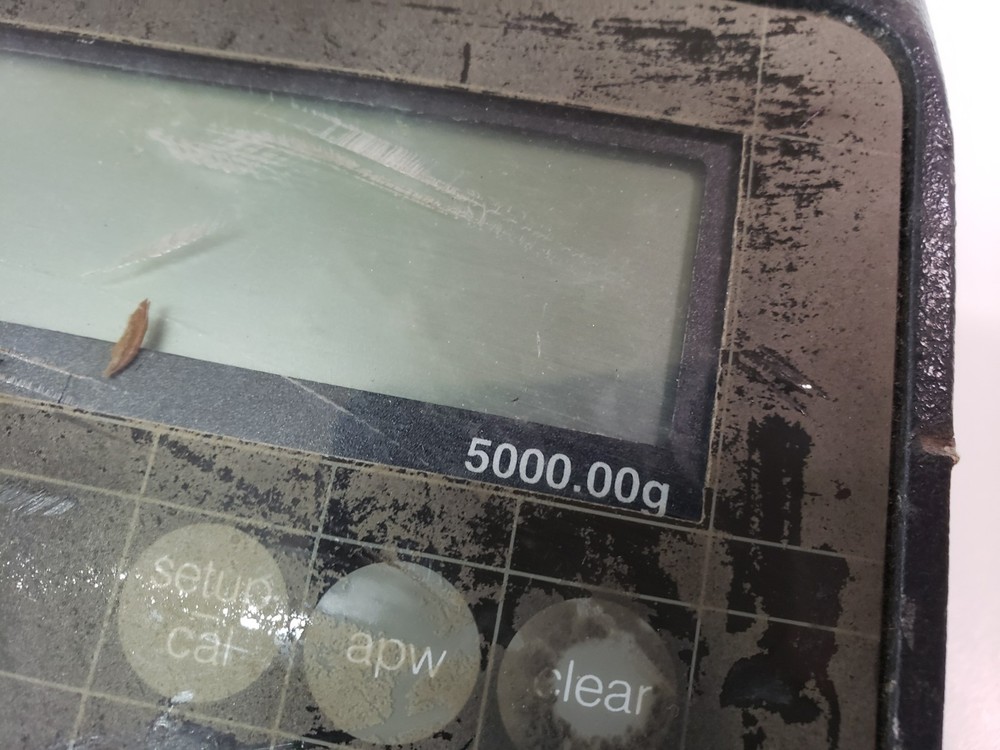 Setra Model 5000C Lab Scale 5000g