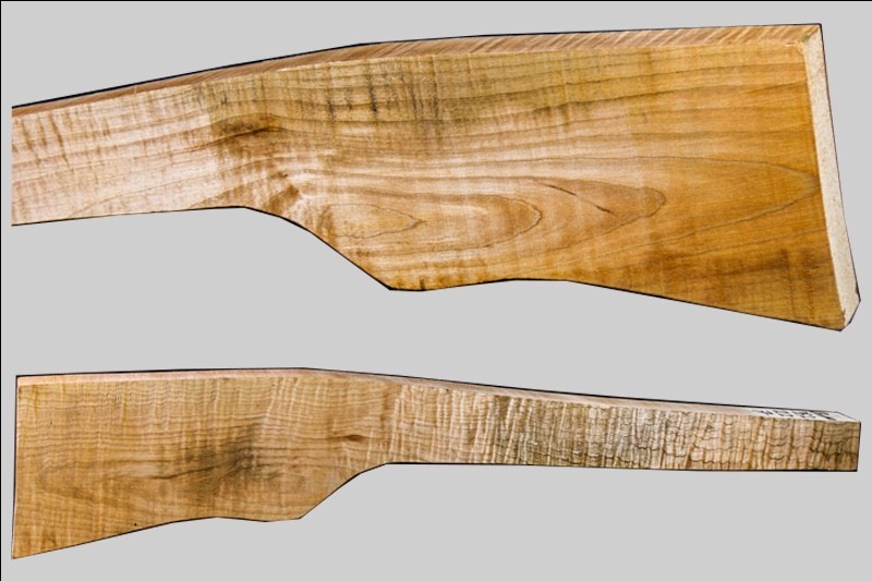 Sugar Maple rifle blank sm49