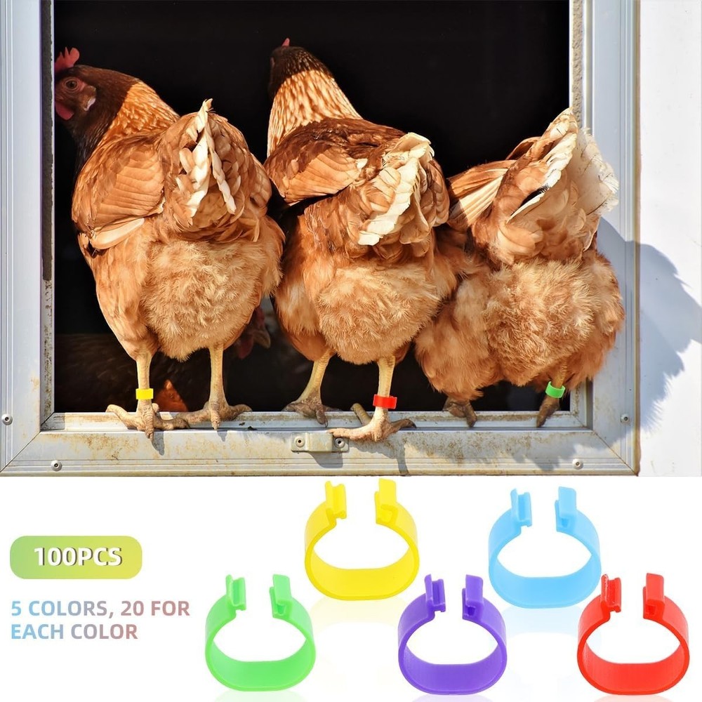 100-Pack Multi-Color Chicken Leg Bands