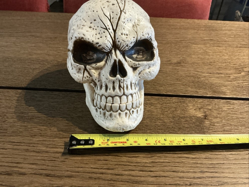 Skull Figurine Halloween Decor Rustic Look