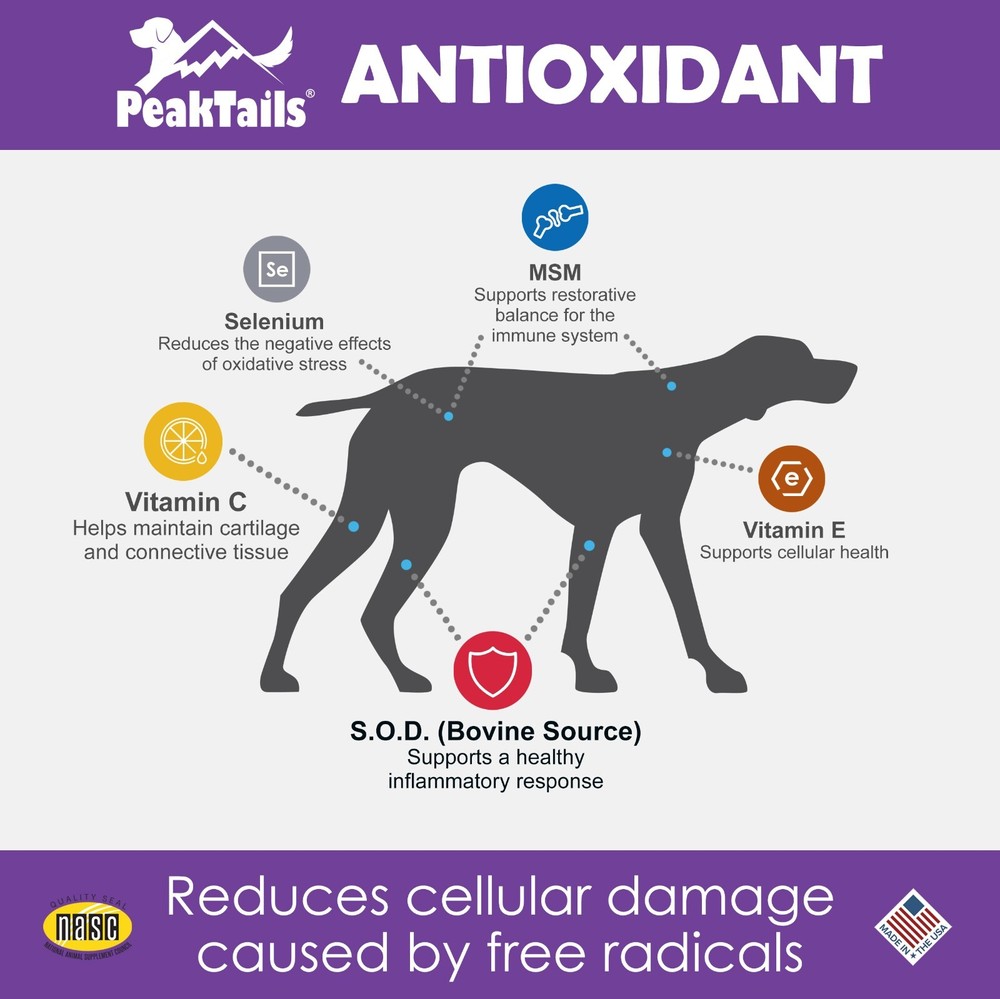 PeakTails Antioxidant for dogs - Immune Support