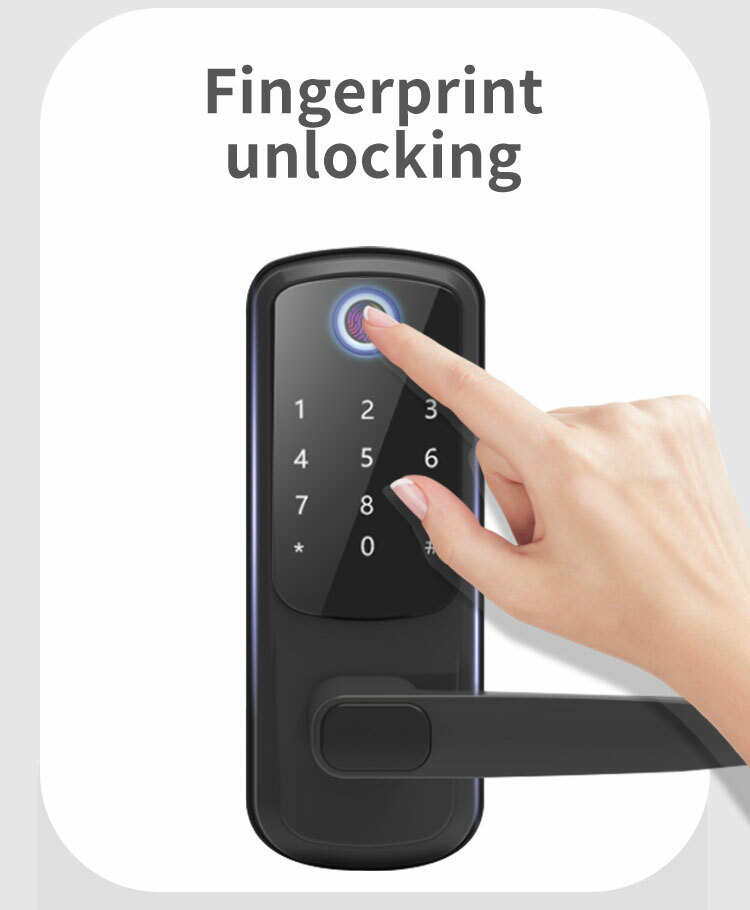 Smart Digital Door Lock, Electronic, Fingerprint, Password & Smartphone (VIDEO)